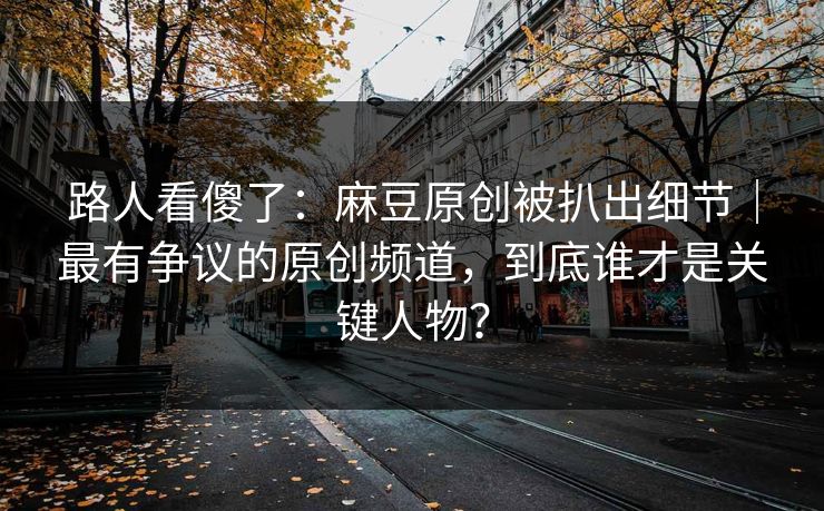 路人看傻了：麻豆原创被扒出细节｜最有争议的原创频道，到底谁才是关键人物？