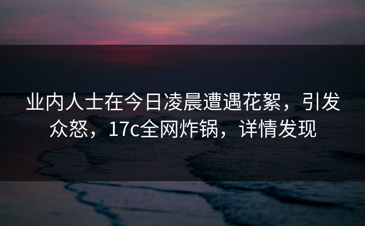 业内人士在今日凌晨遭遇花絮，引发众怒，17c全网炸锅，详情发现