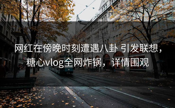 网红在傍晚时刻遭遇八卦 引发联想，糖心vlog全网炸锅，详情围观